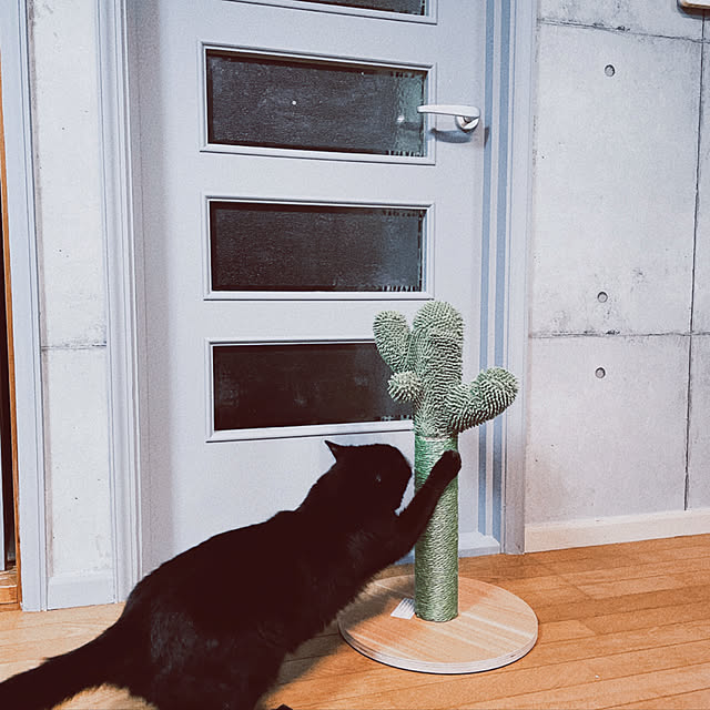 soppiiさんの実例写真