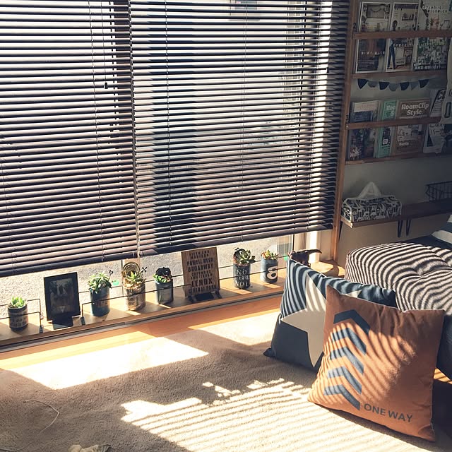 実例写真