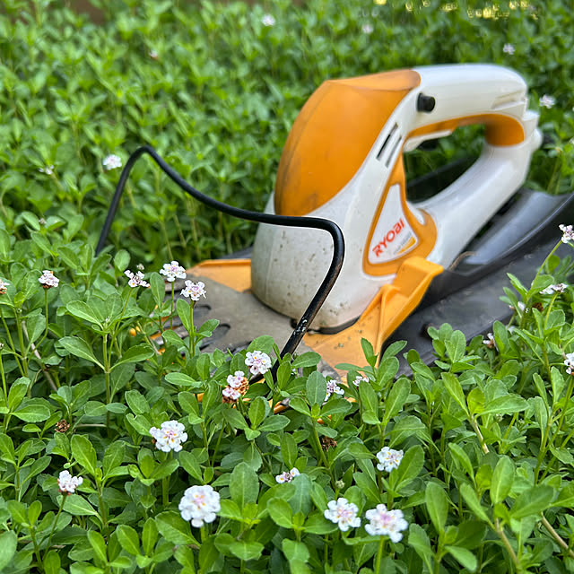 asさんの実例写真