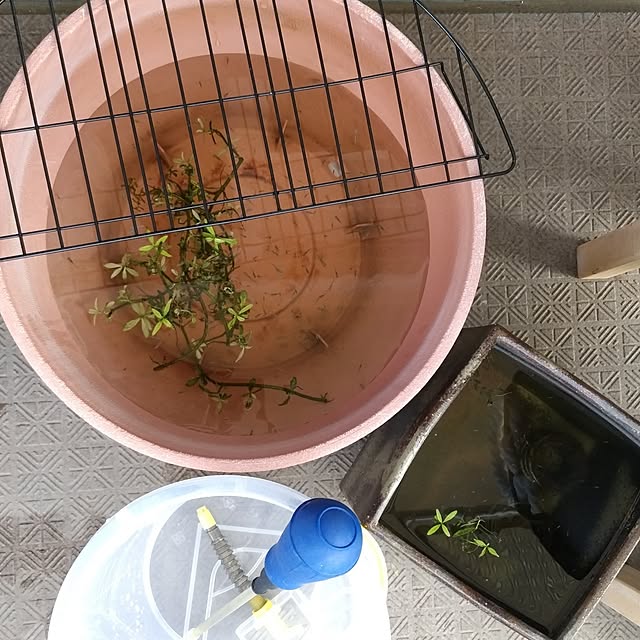 mi-saさんの部屋