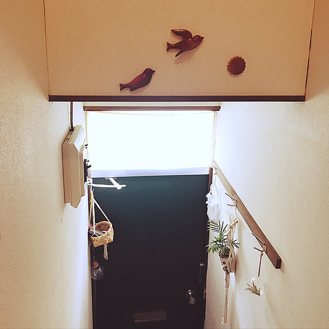 apiさんの実例写真