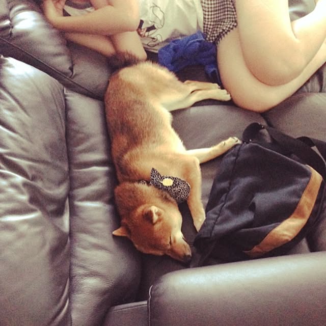 hanakoさんの実例写真