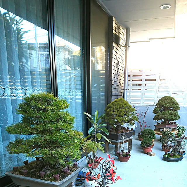 bonobono54さんの実例写真