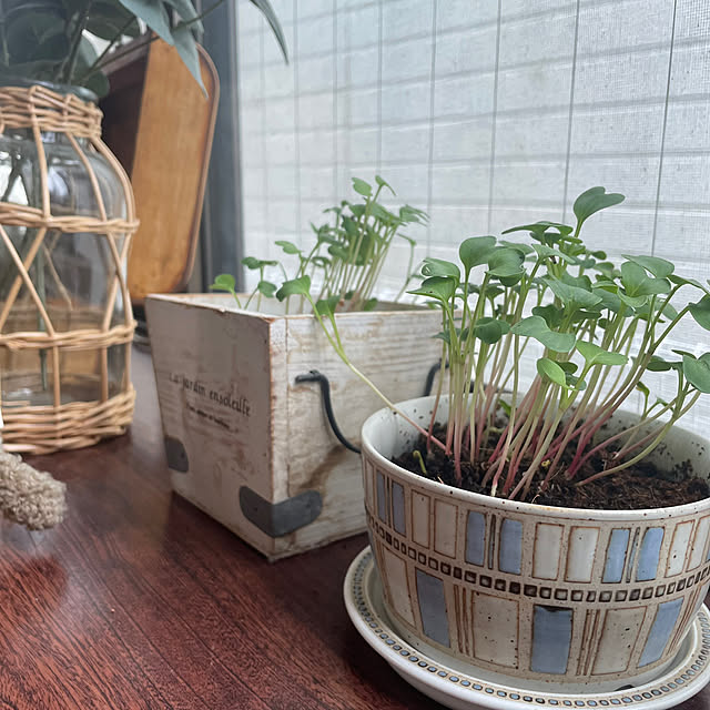 izuさんの部屋