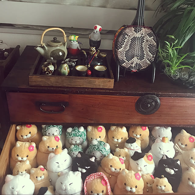 tanumaさんの実例写真