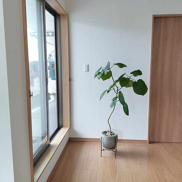 ANNIEさんの実例写真