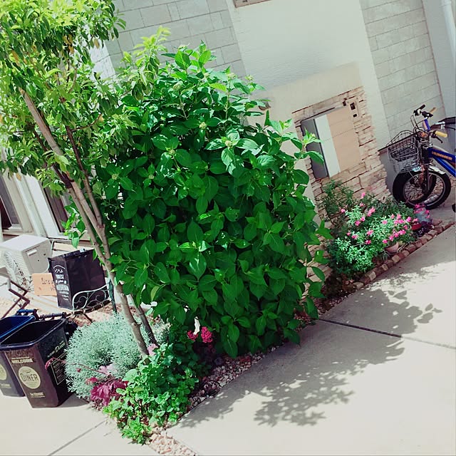 実例写真