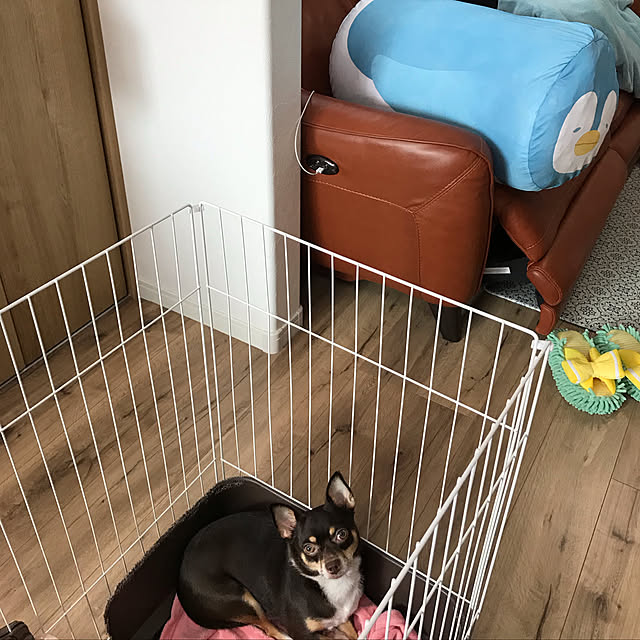 nacchintunnさんの実例写真