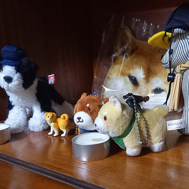 kyokaさんの実例写真