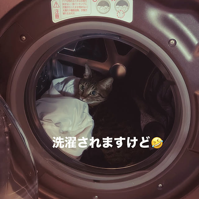 masamasaさんの実例写真