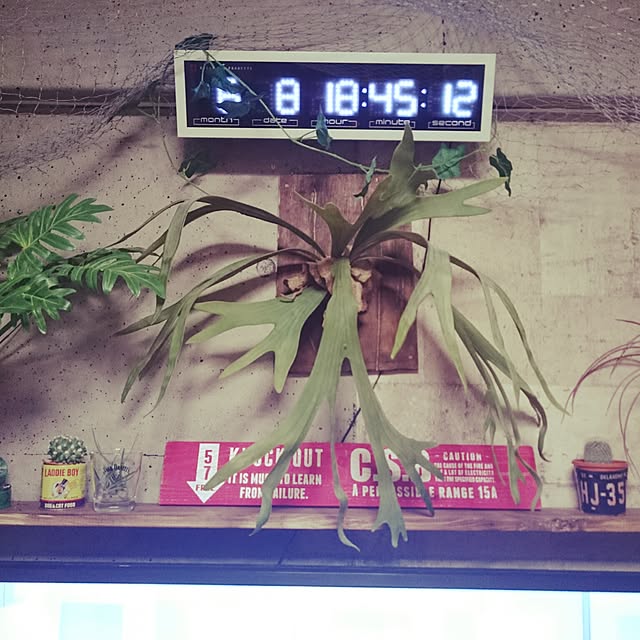 mmworksさんの実例写真