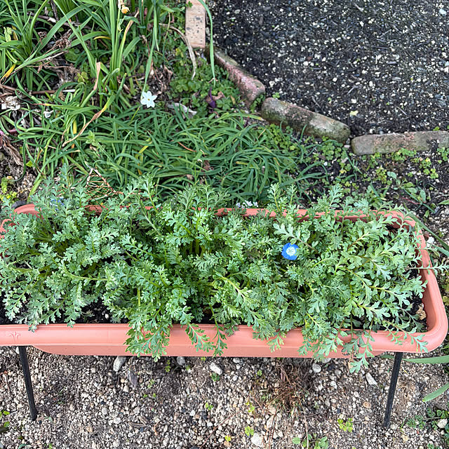 ritsukoさんの部屋