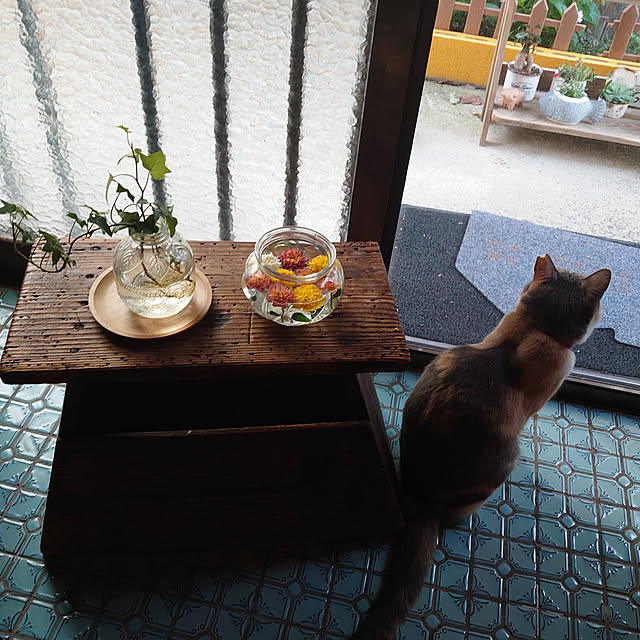 fukuさんの実例写真