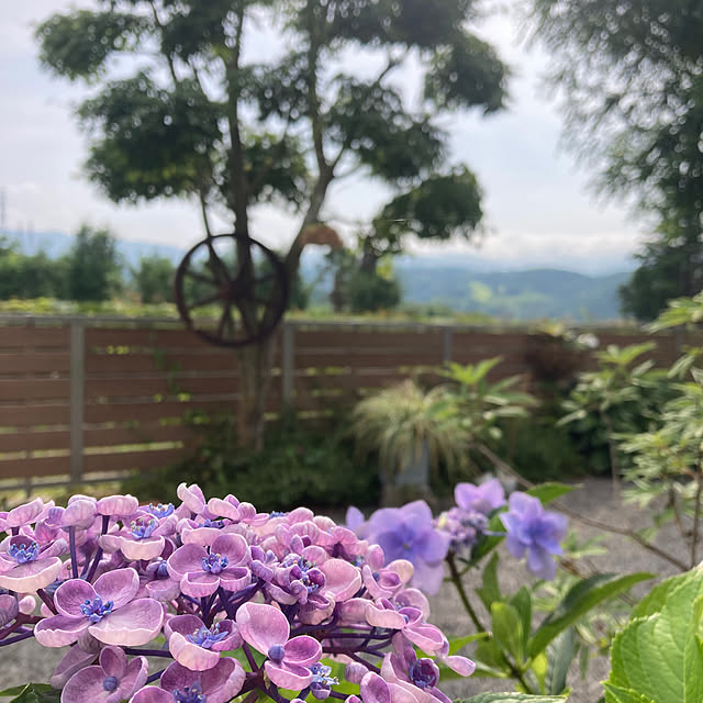 nana77さんの部屋