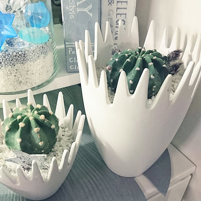 mhkさんの実例写真