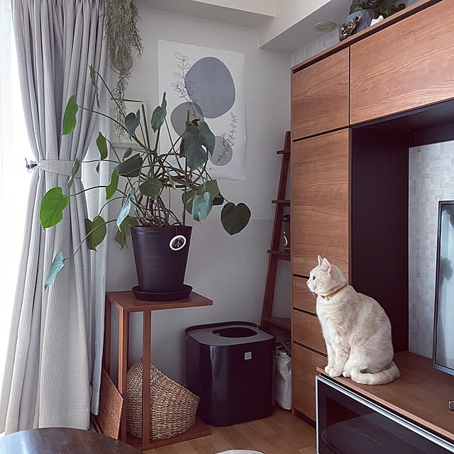 hiyupan88さんの実例写真