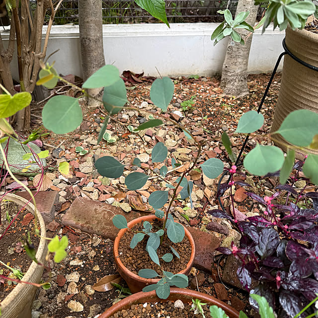 okyosan101さんの部屋