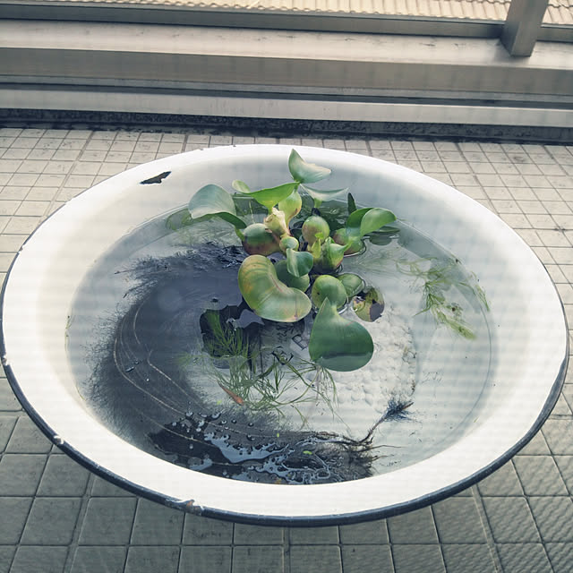 Aliceさんの実例写真