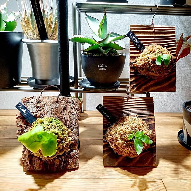 Rさんの部屋