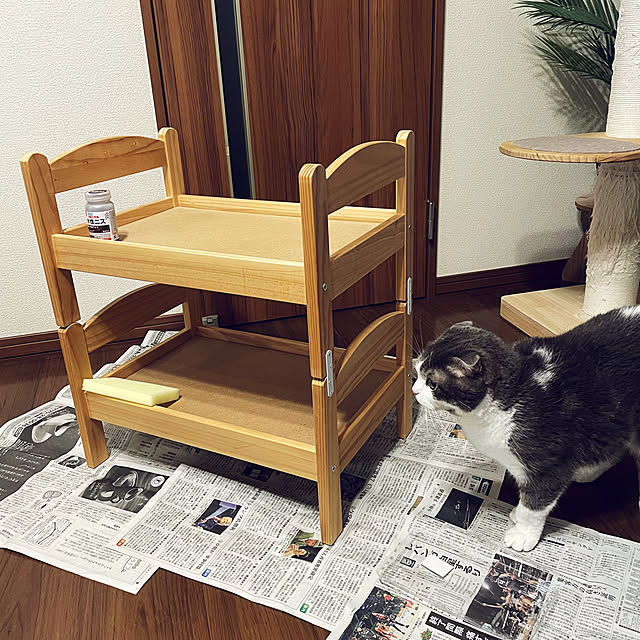 tansukeさんの実例写真