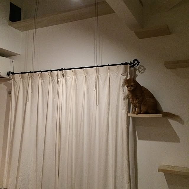 棚/いつでも二階に行けるように^_−☆のインテリア実例 - 2015-07-24 23:38:16