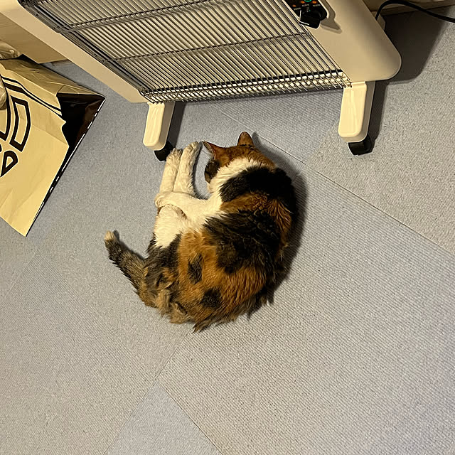 seireiさんの実例写真