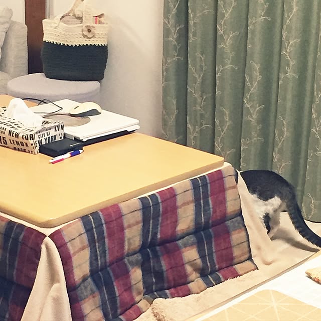 miiko3さんの実例写真