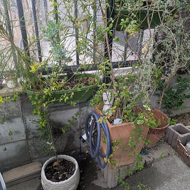 mori_6_12さんの部屋