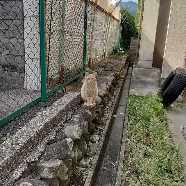 fukuさんの部屋