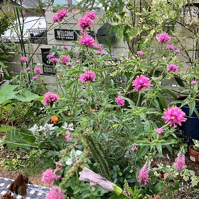 min_nimさんの実例写真