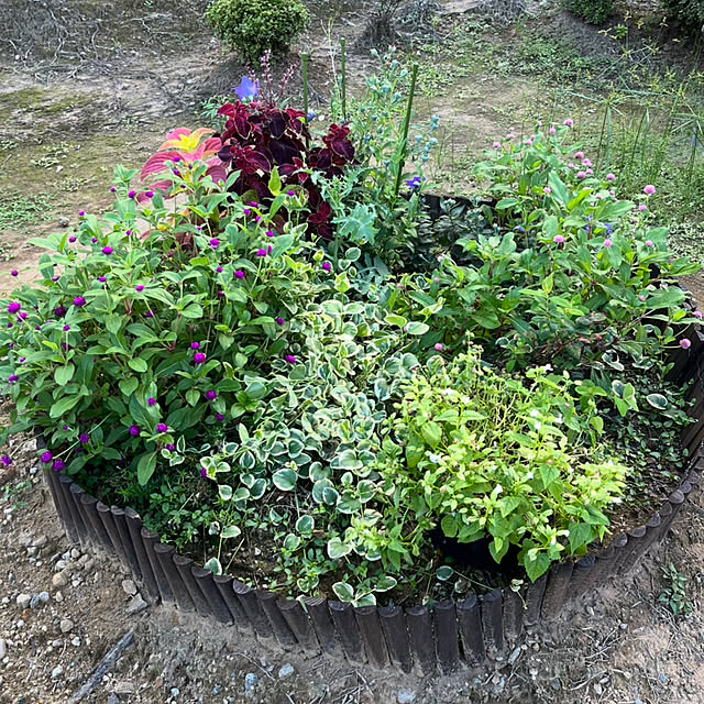 Fleur_さんの部屋