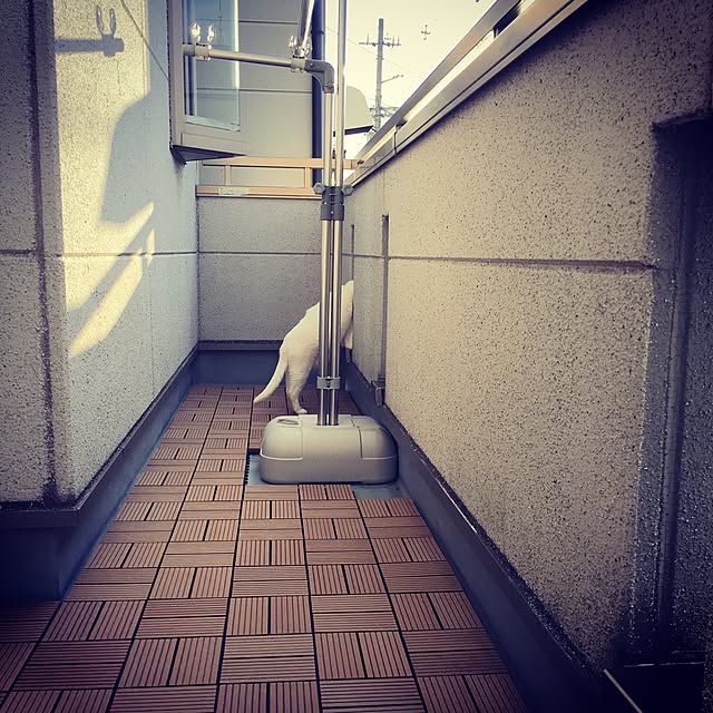 hakuponchiiさんの実例写真