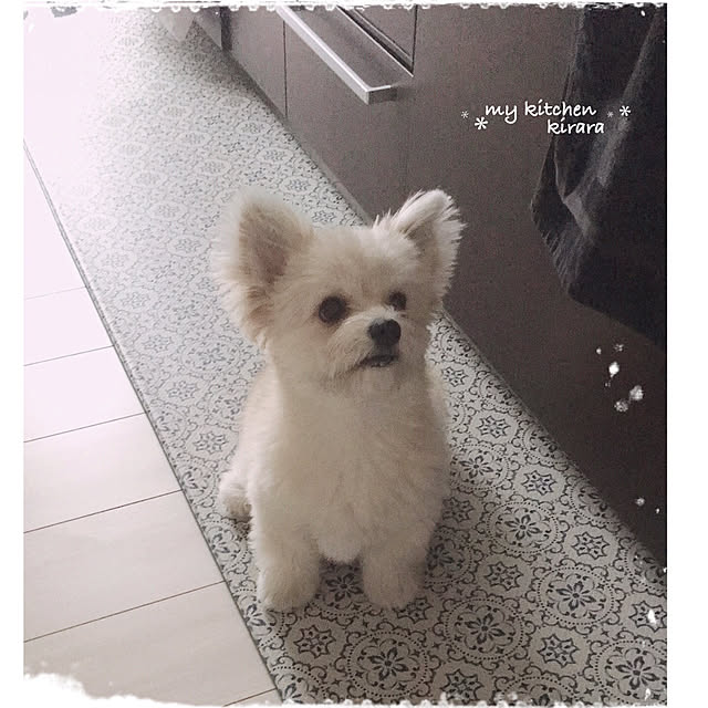 kiraraさんの実例写真
