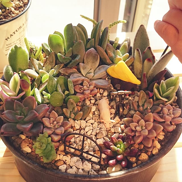 cocomilkさんの実例写真