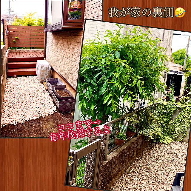 yottanさんの実例写真
