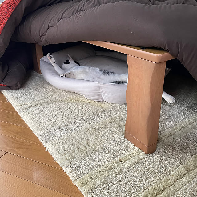 nobikoさんの部屋