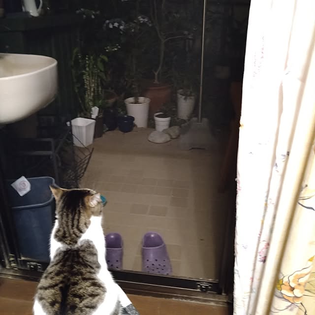 okyosan101さんの実例写真