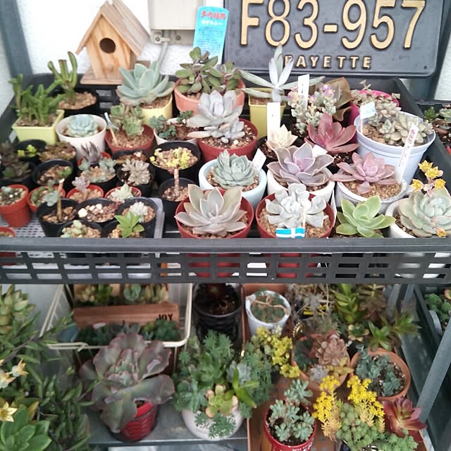 VERANDARJUNさんの実例写真