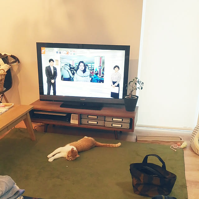 Yさんの実例写真