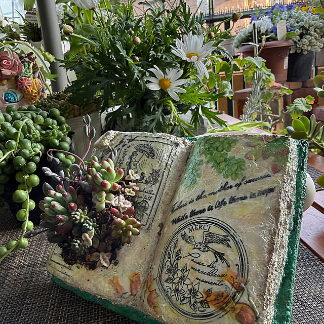 Aqettyさんの部屋