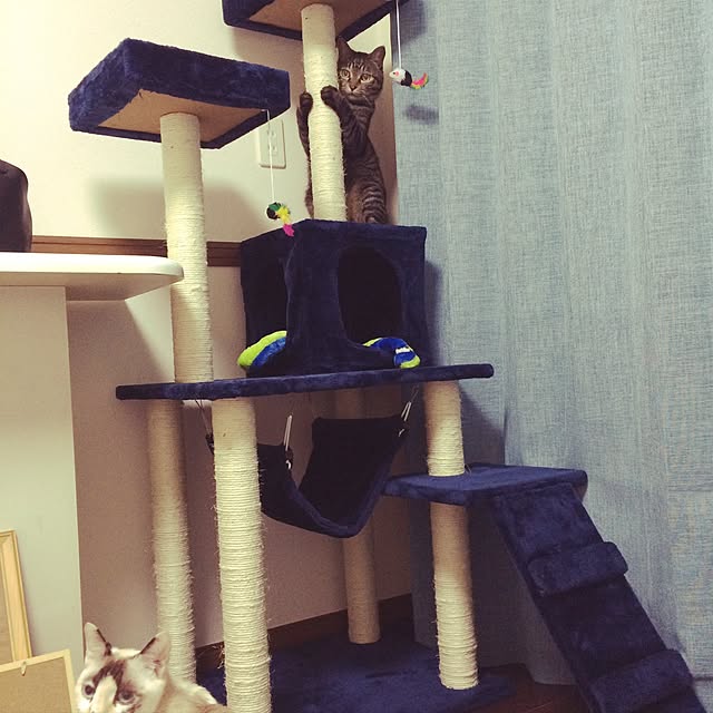 pippiさんの実例写真