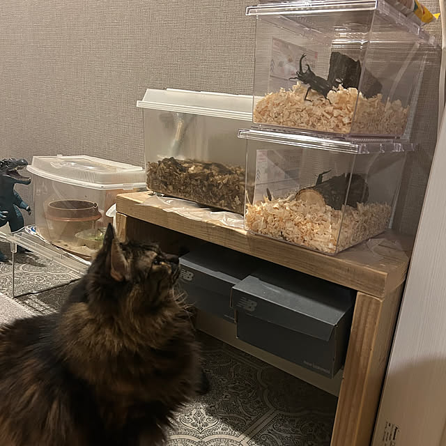 mikomaruさんの実例写真
