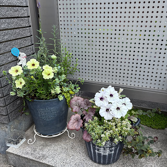 maayaさんの実例写真
