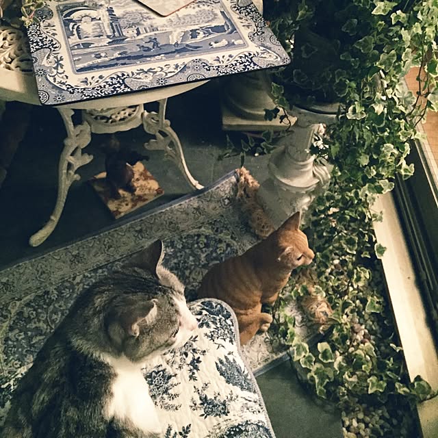 emmyyさんの実例写真