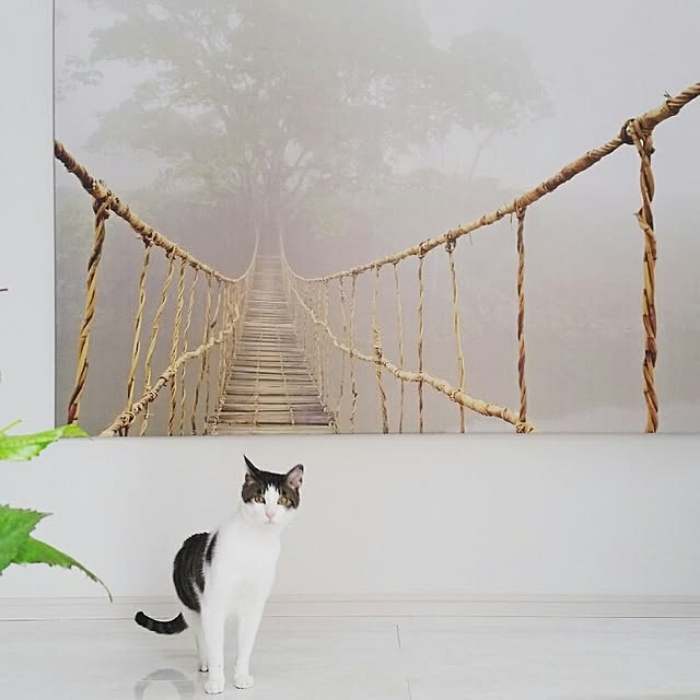 runayucoさんの実例写真
