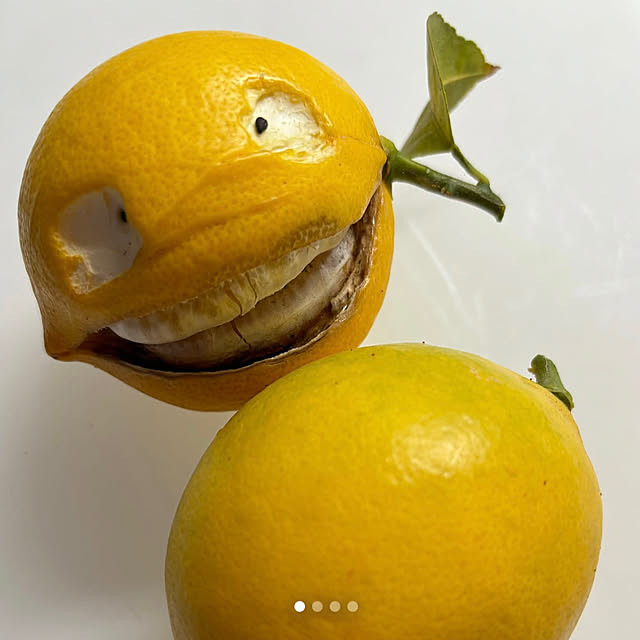 syutmmさんの実例写真