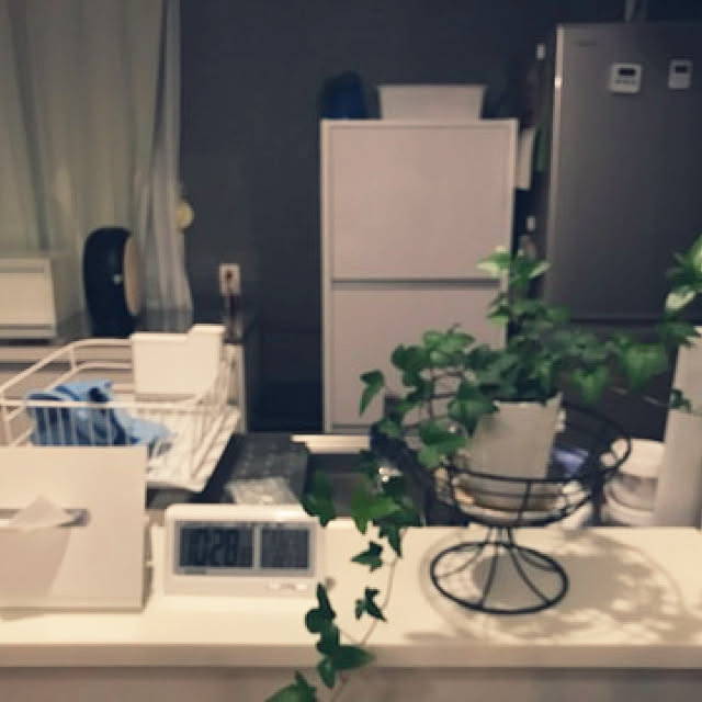 観葉植物/キッチンのインテリア実例 - 2020-11-29 16:57:32