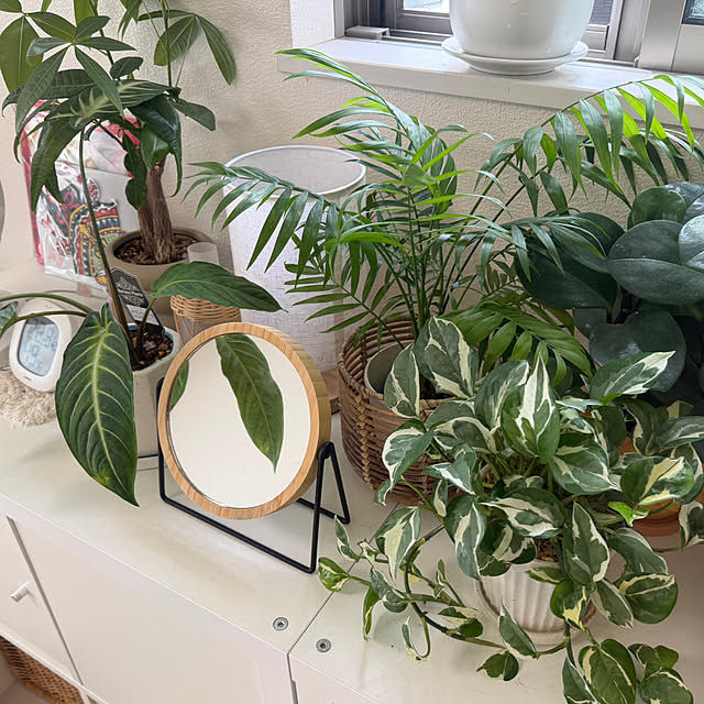 natsumiさんの実例写真