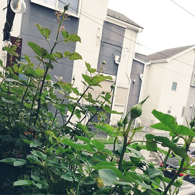 kazuさんの部屋