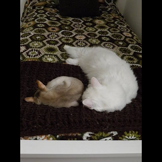 Hgmcfさんの実例写真